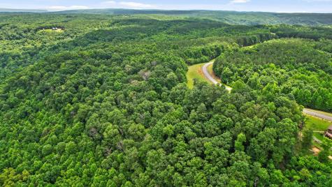 0 Preservation Drive South Pittsburg TN 37380