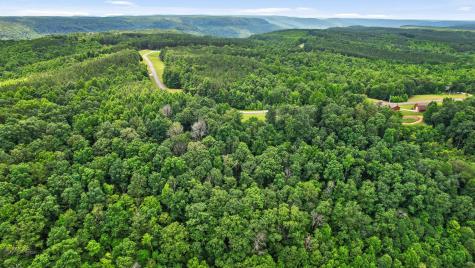 0 Preservation Drive South Pittsburg TN 37380