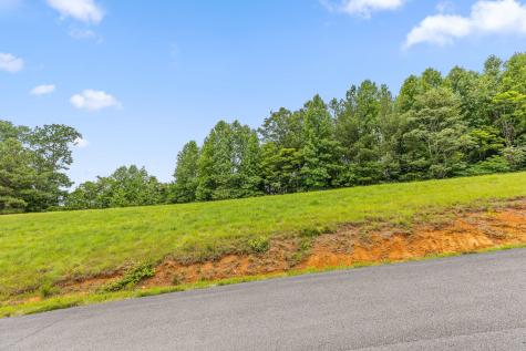 0 Preservation Drive South Pittsburg TN 37380