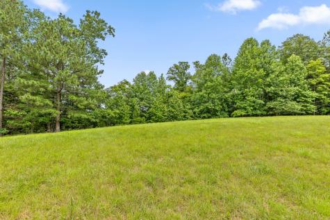 0 Preservation Drive South Pittsburg TN 37380