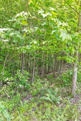 0 Preservation Drive South Pittsburg TN 37380