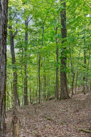 0 Preservation Drive South Pittsburg TN 37380