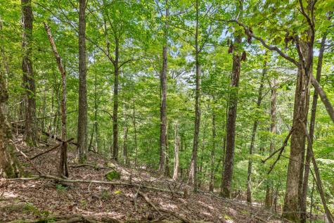 0 Preservation Drive South Pittsburg TN 37380