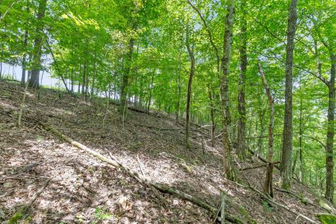 0 Preservation Drive South Pittsburg TN 37380