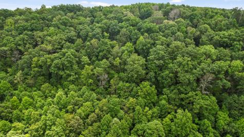 0 Preservation Drive South Pittsburg TN 37380