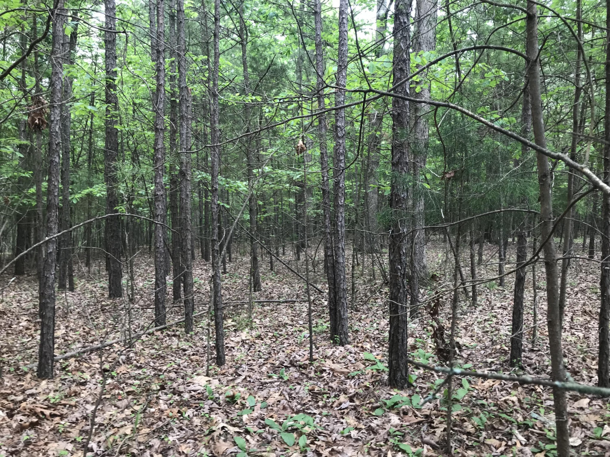 0 Bluffview Drive Dunlap TN 37327