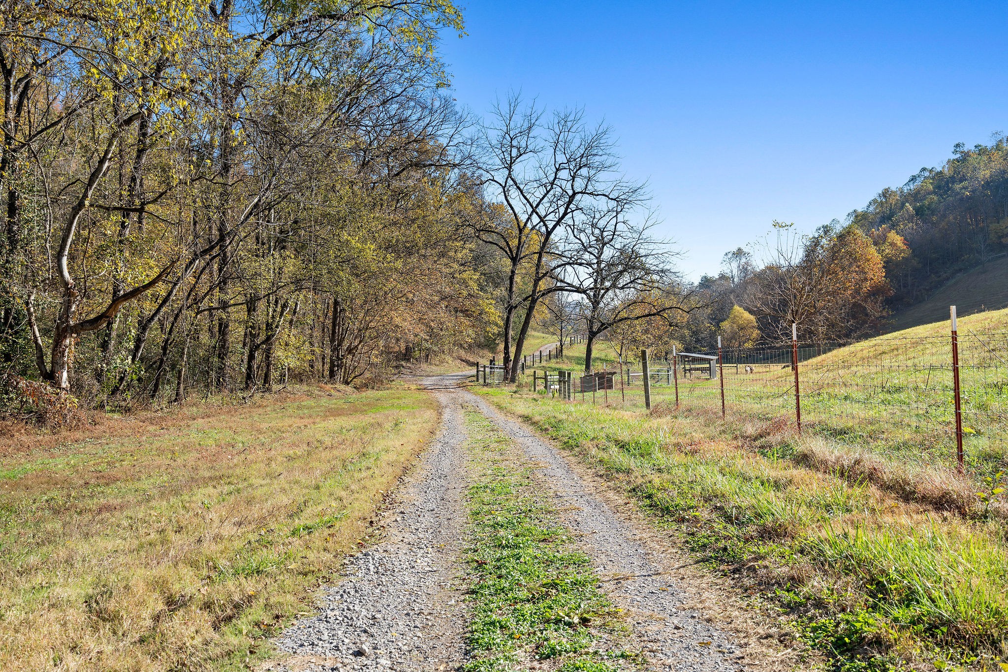 183 Puncheon Camp Lane Bell Buckle TN 37020