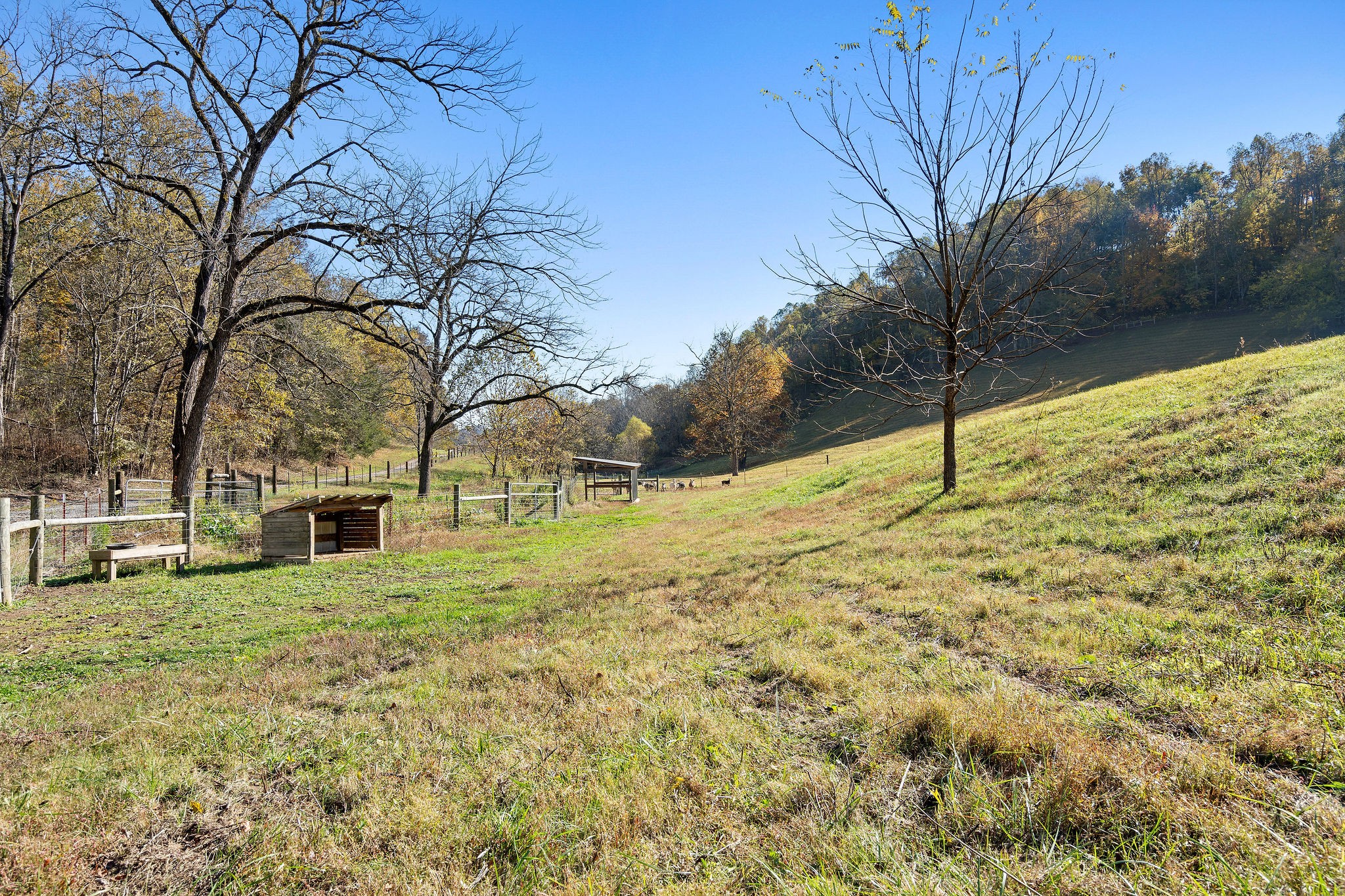 183 Puncheon Camp Lane Bell Buckle TN 37020