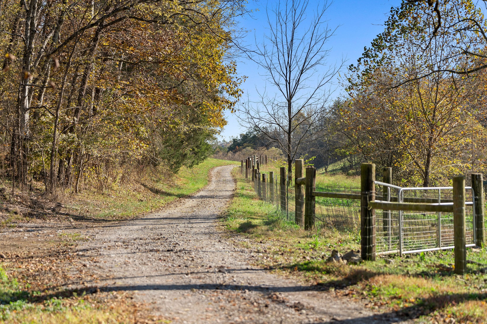 183 Puncheon Camp Lane Bell Buckle TN 37020