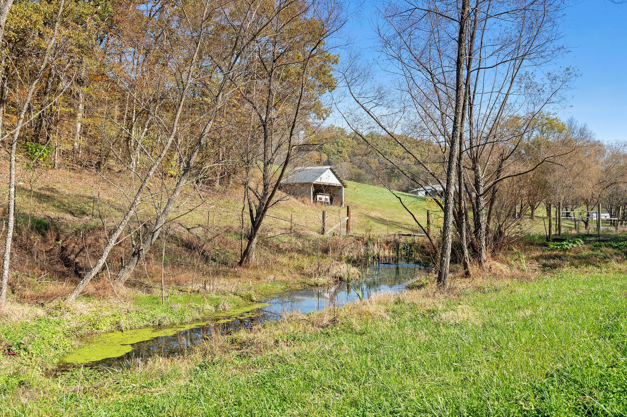 183 Puncheon Camp Lane Bell Buckle TN 37020