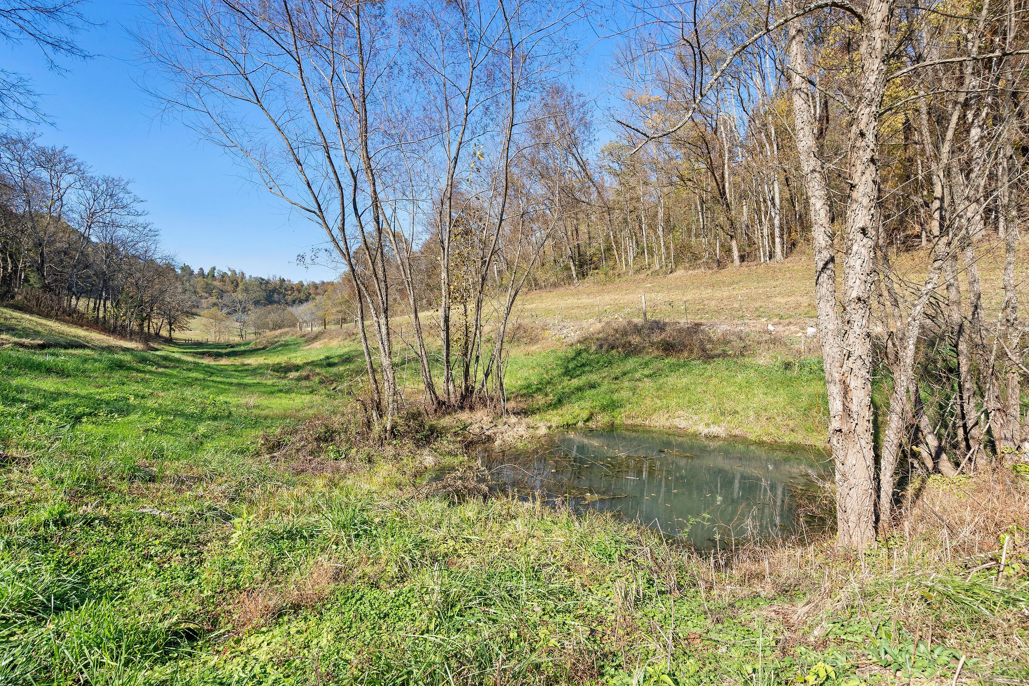 183 Puncheon Camp Lane Bell Buckle TN 37020