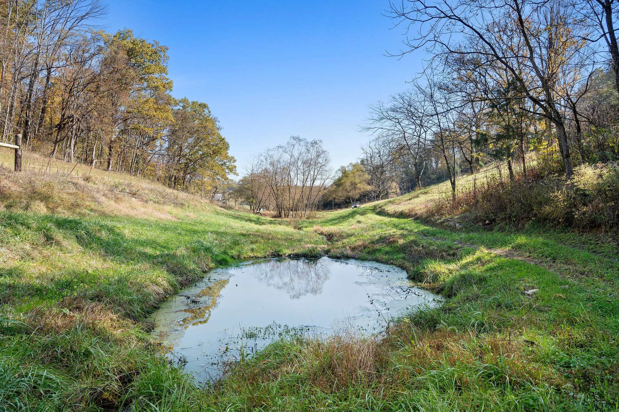 183 Puncheon Camp Lane Bell Buckle TN 37020
