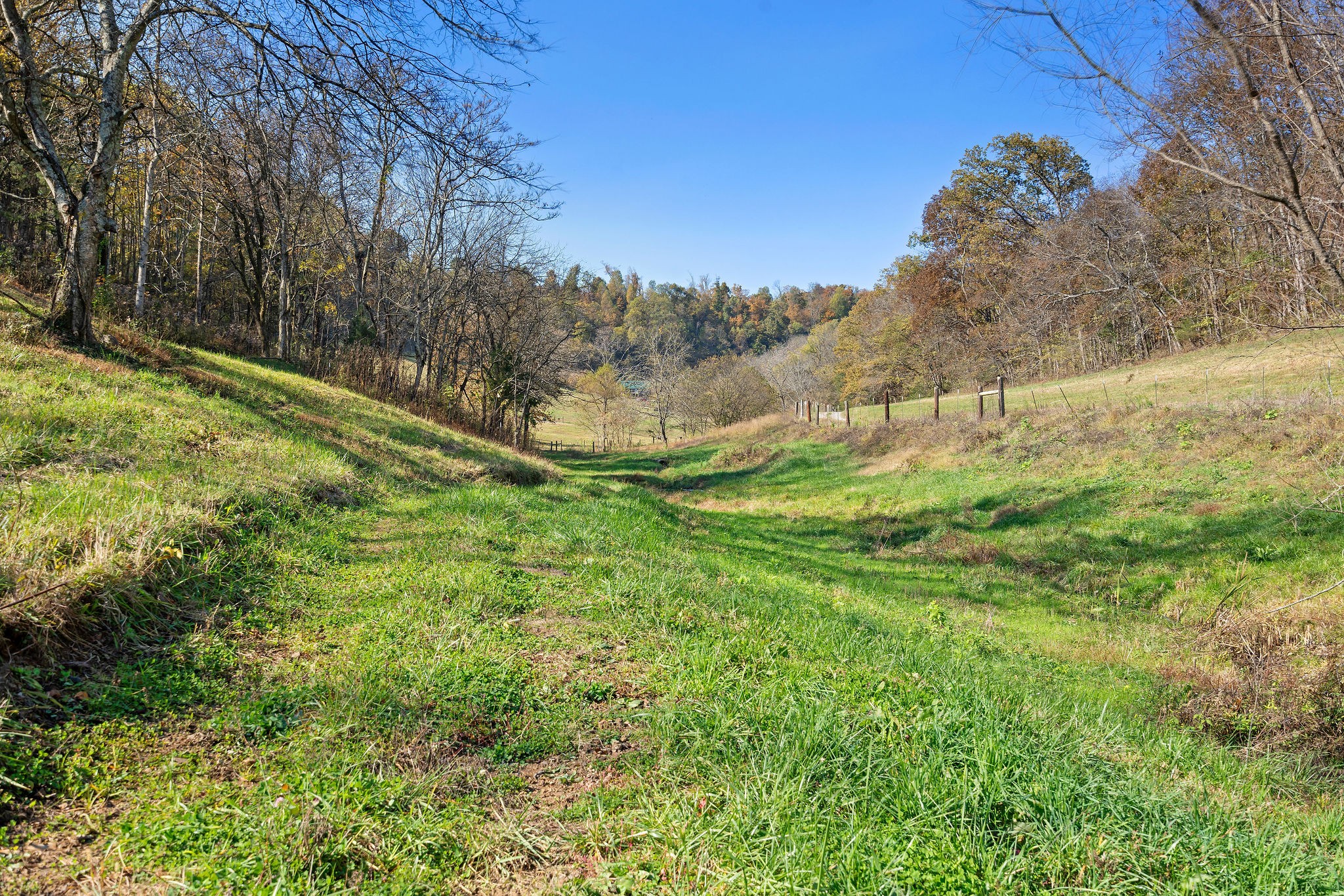 183 Puncheon Camp Lane Bell Buckle TN 37020