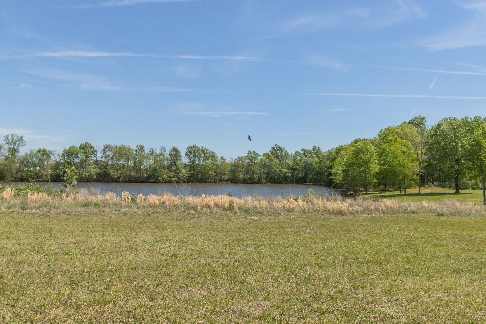 366 Lexington Circle Manchester TN 37355