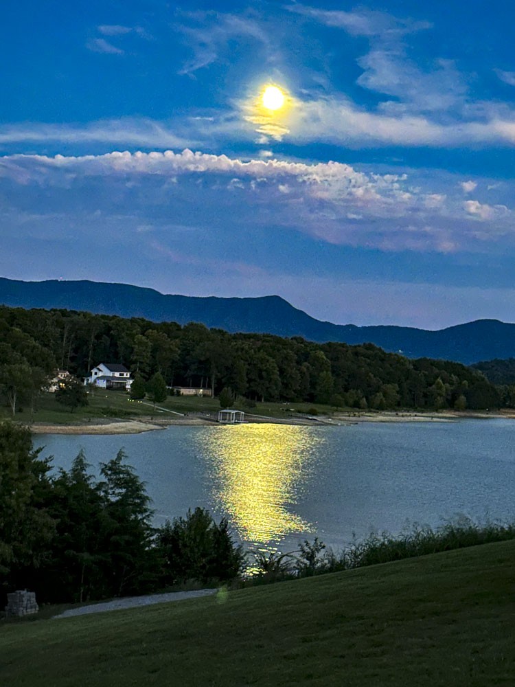 1964 Harbor Hills Drive Dandridge TN 37725