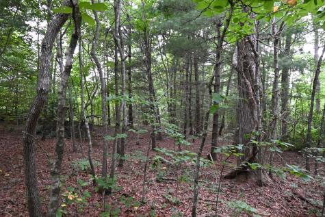 0 Ault Road Sparta TN 38583