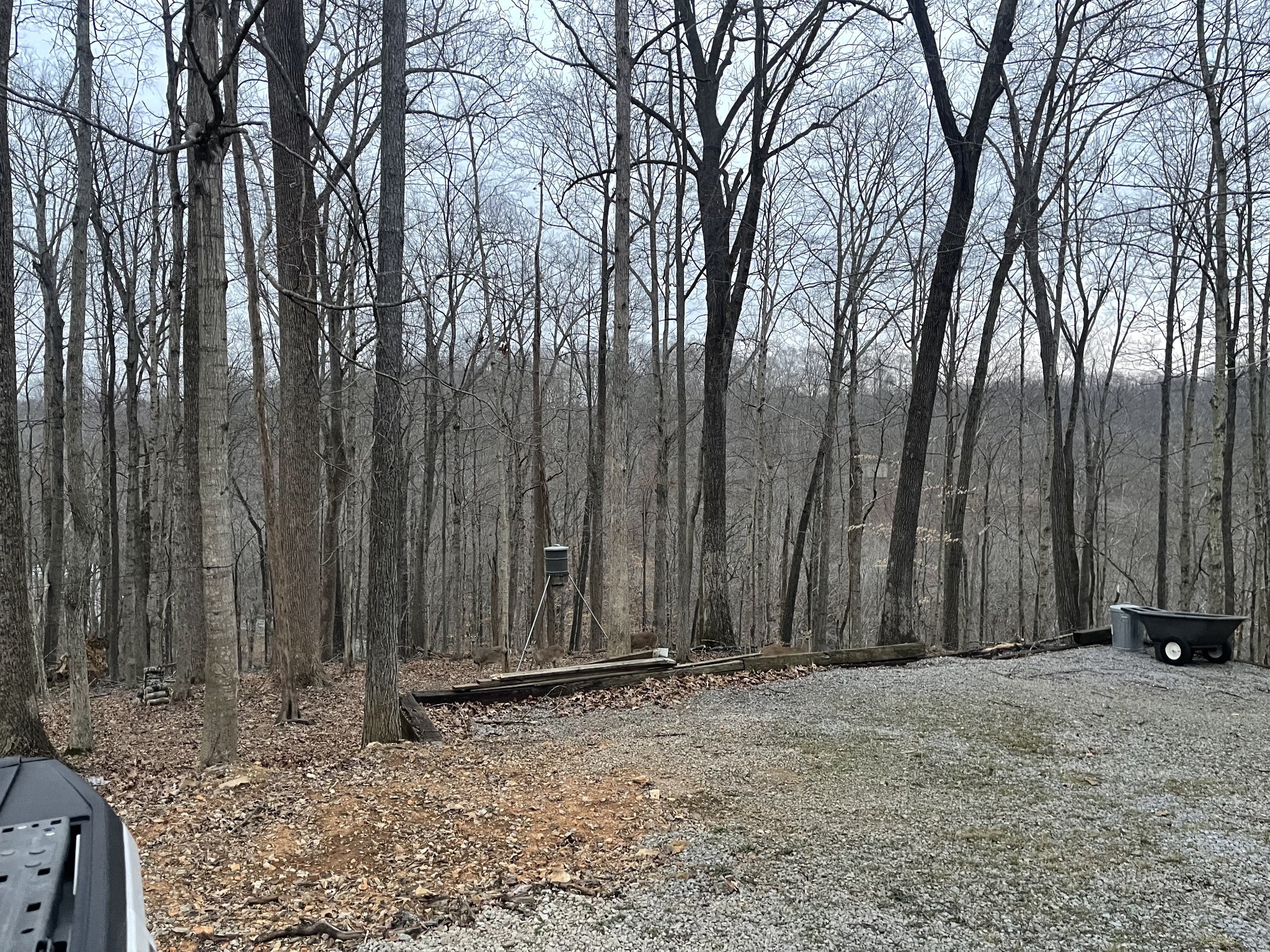 3575 Tyree Springs Road Hendersonville TN 37075
