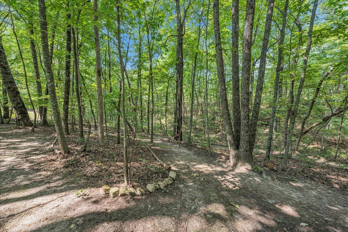 220 Bear Crawl Road Jasper TN 37347