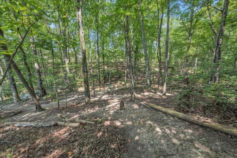 220 Bear Crawl Road Jasper TN 37347