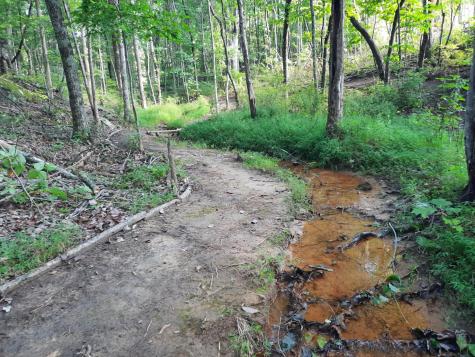 220 Bear Crawl Road Jasper TN 37347