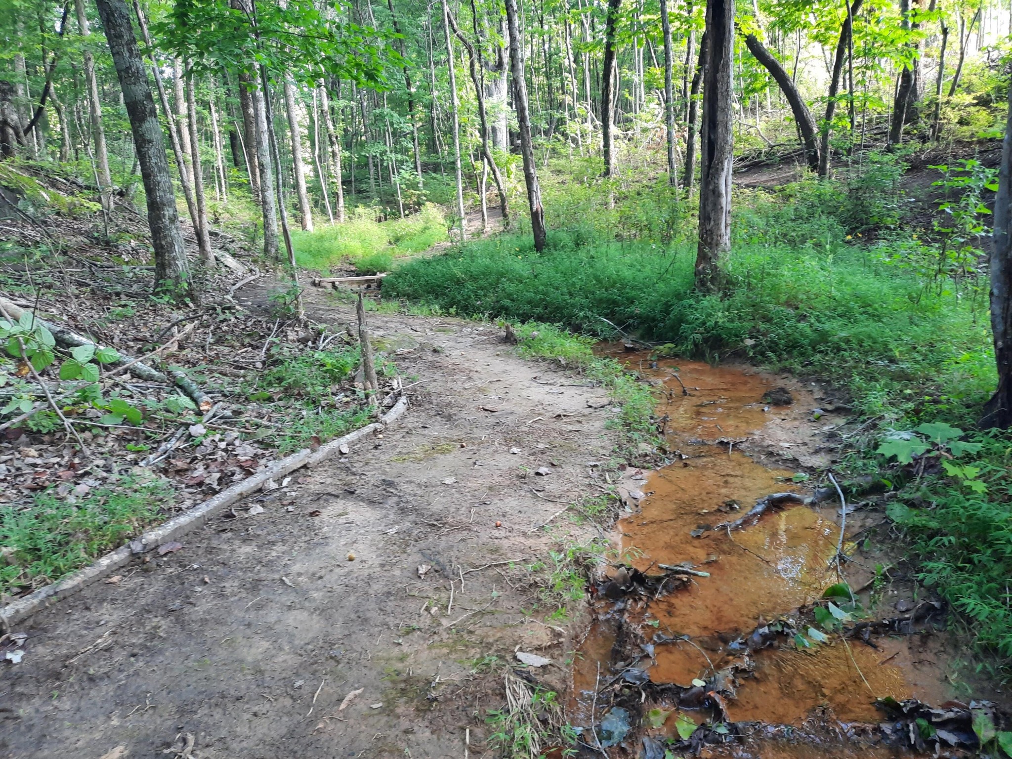 220 Bear Crawl Road Jasper TN 37347