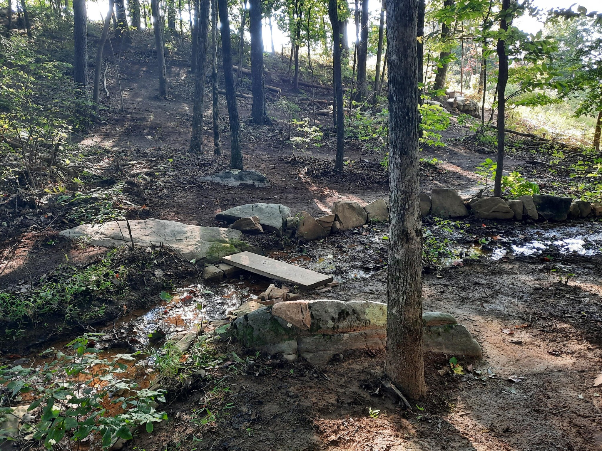 220 Bear Crawl Road Jasper TN 37347