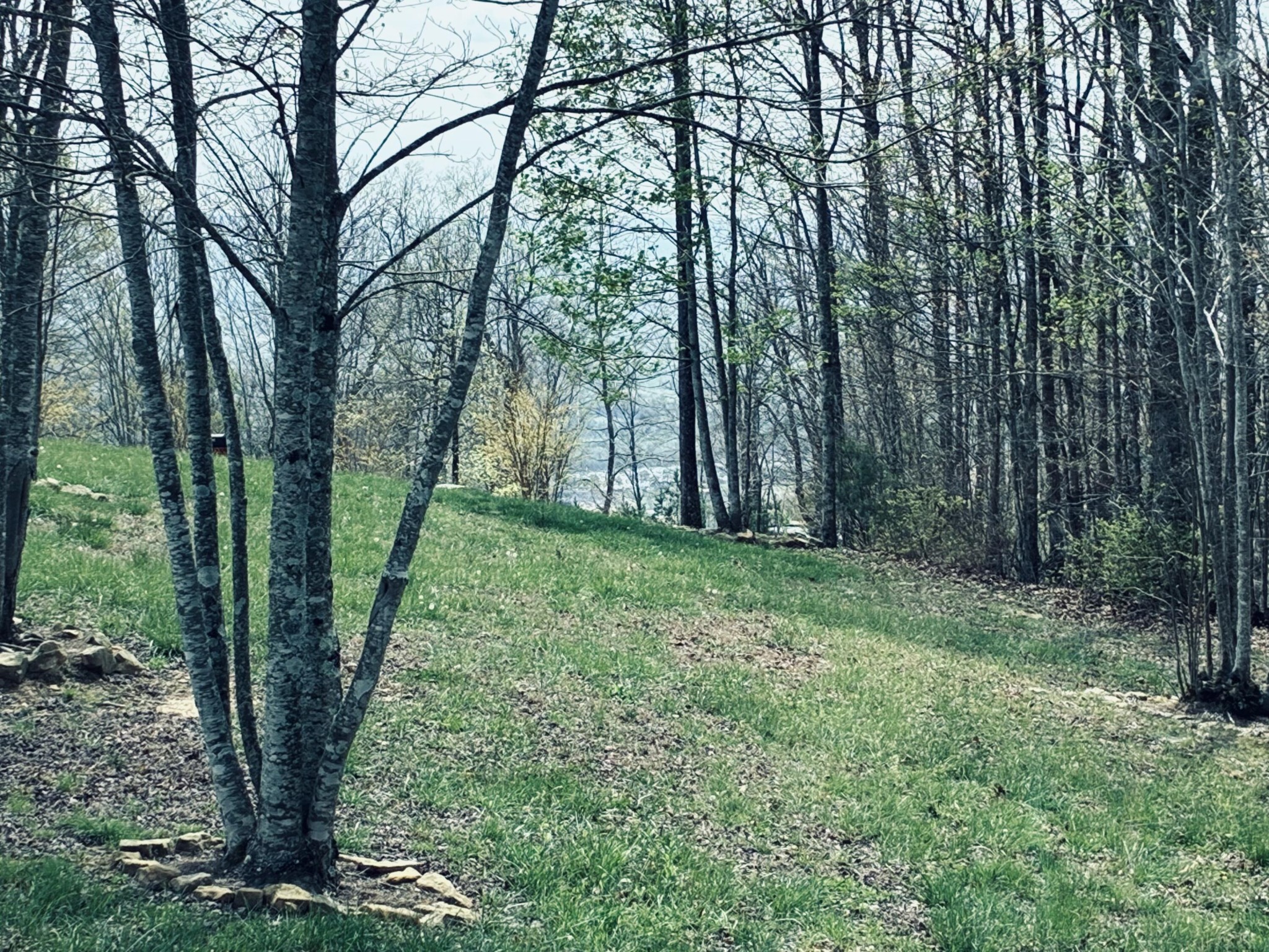 220 Bear Crawl Road Jasper TN 37347