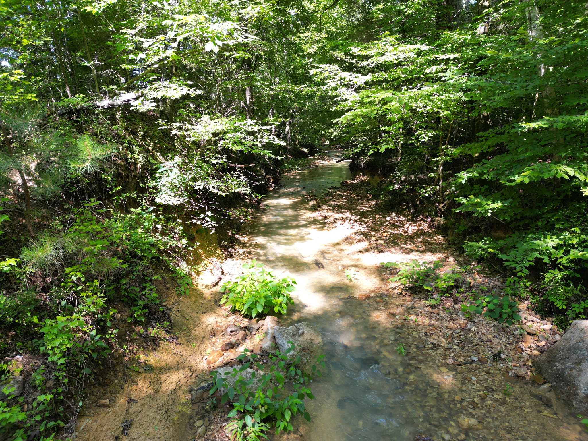 0 Brushy Road Centerville TN 37033