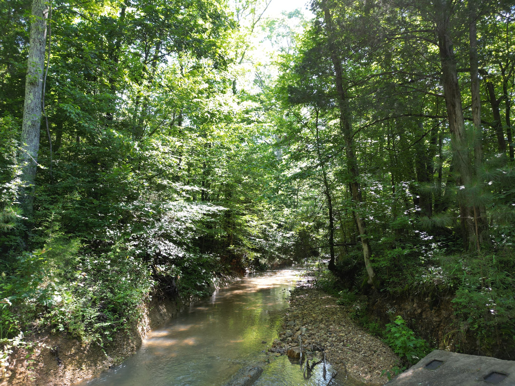 0 Brushy Road Centerville TN 37033