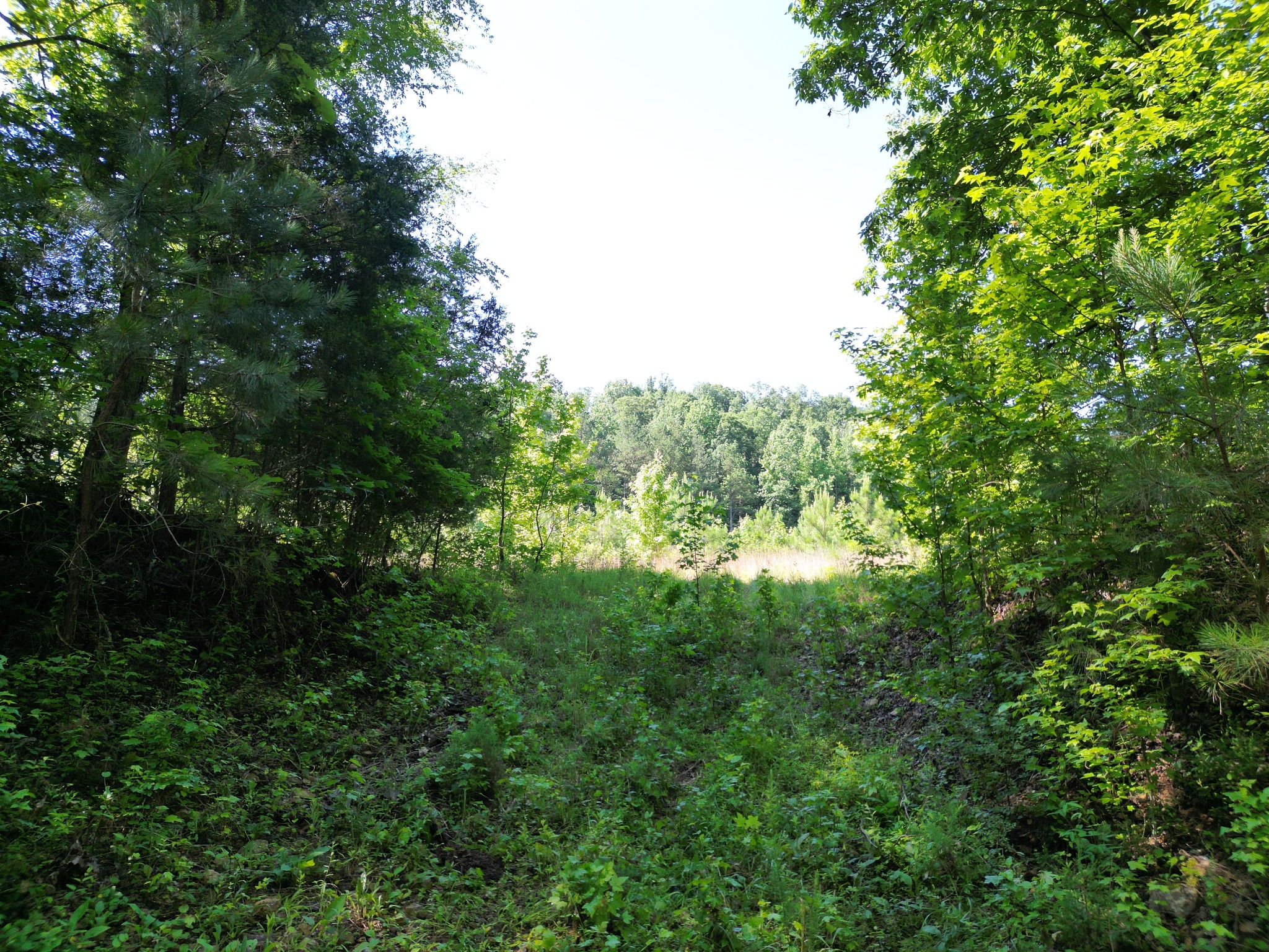 0 Brushy Road Centerville TN 37033