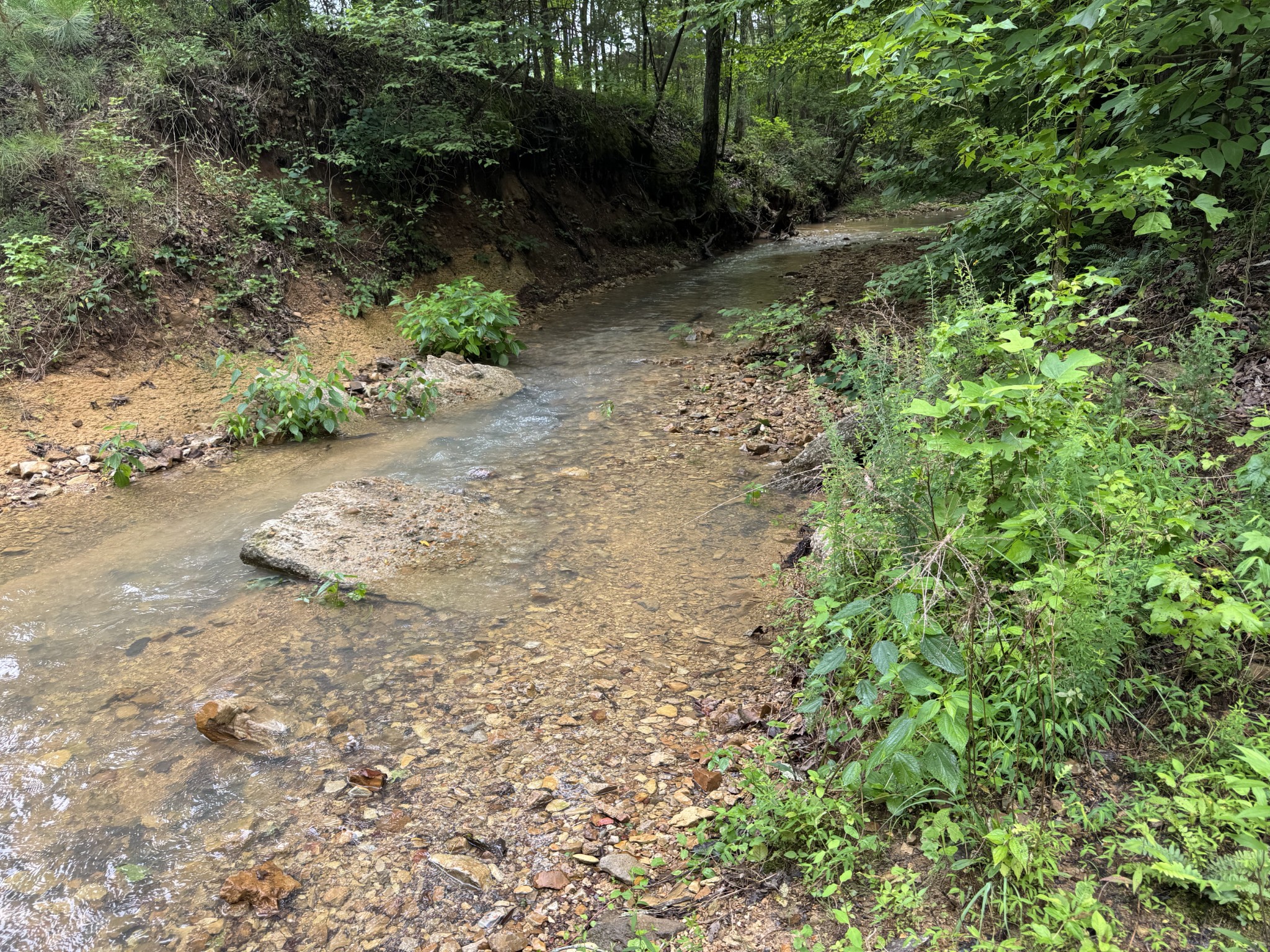 0 Brushy Road Centerville TN 37033