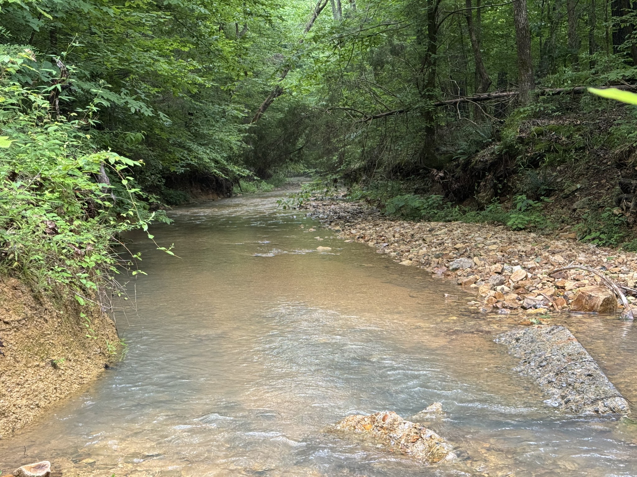 0 Brushy Road Centerville TN 37033
