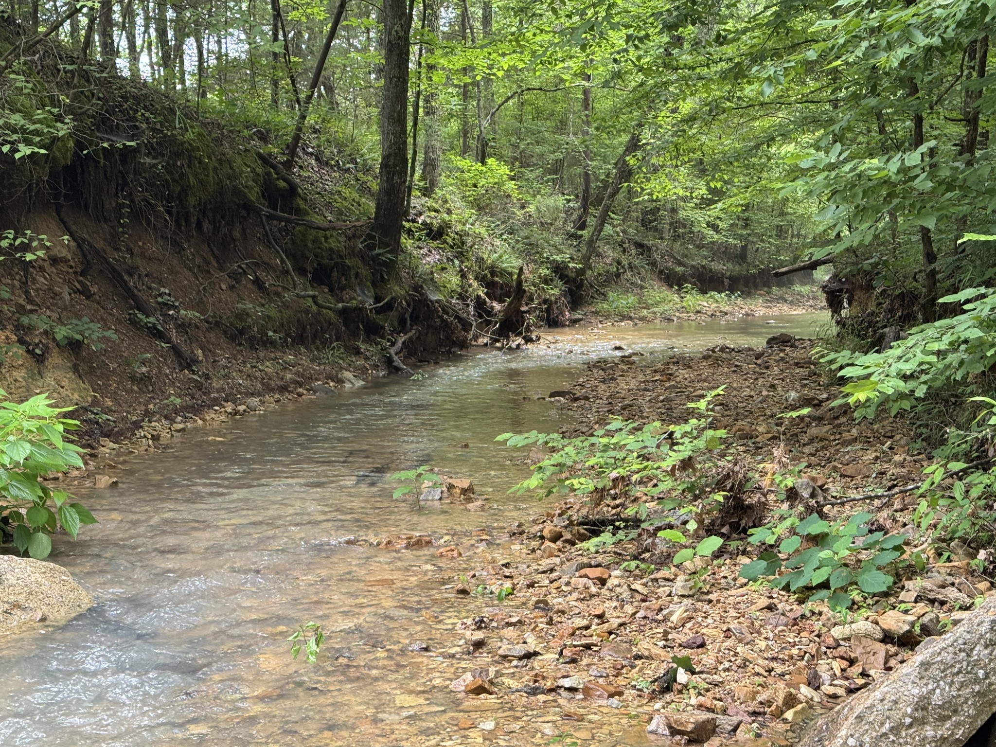 0 Brushy Road Centerville TN 37033
