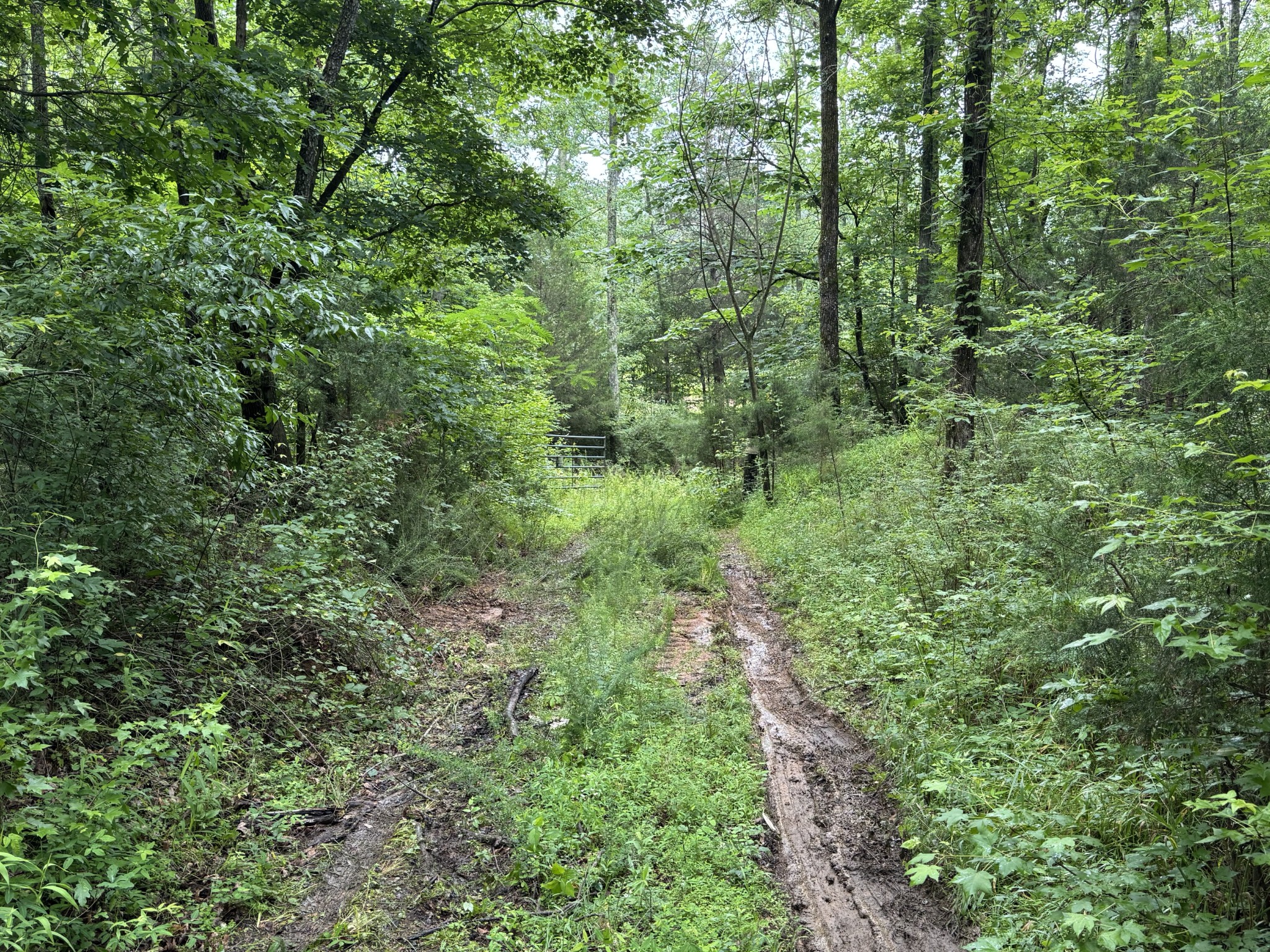 0 Brushy Road Centerville TN 37033
