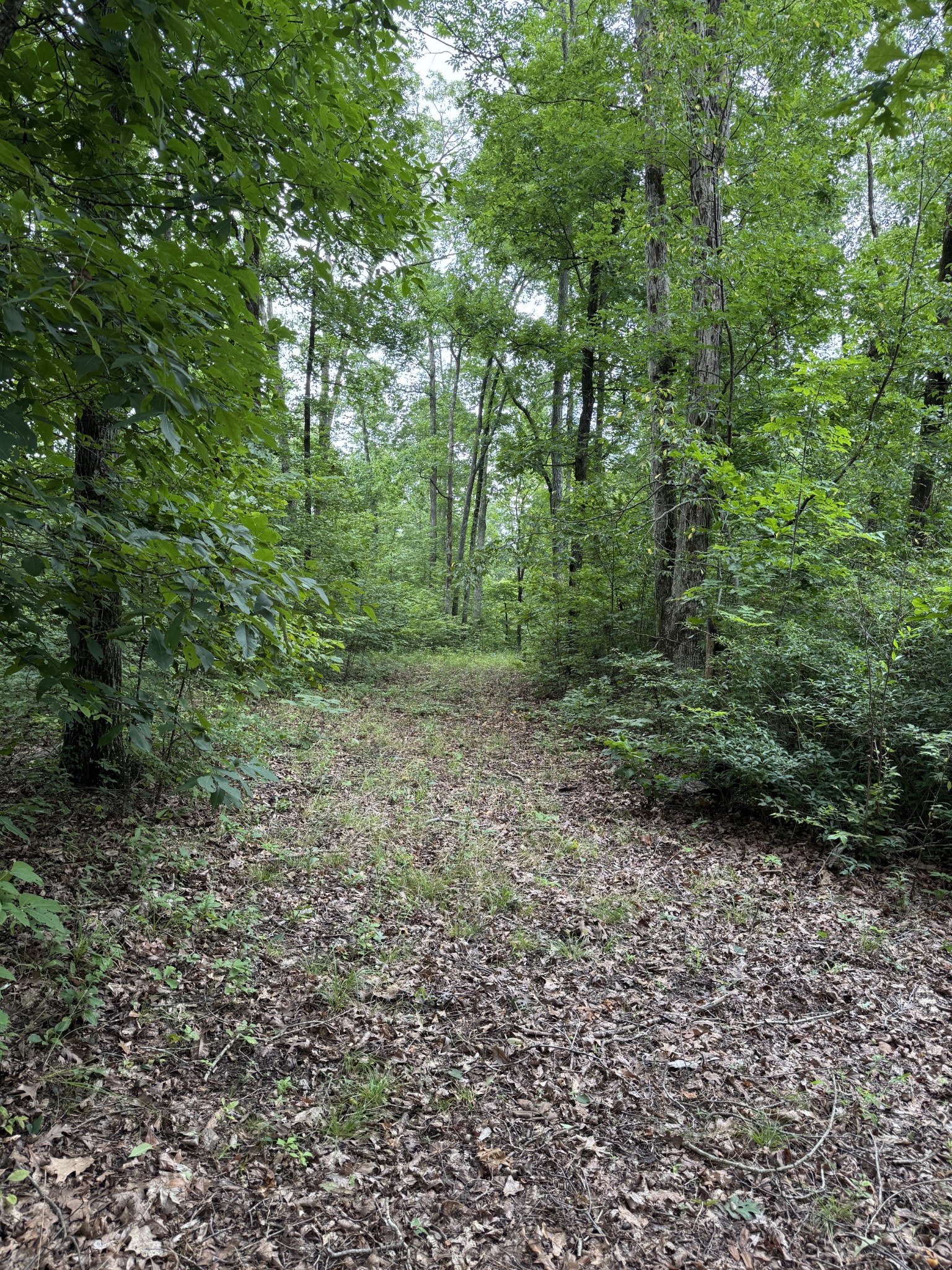 0 Brushy Road Centerville TN 37033