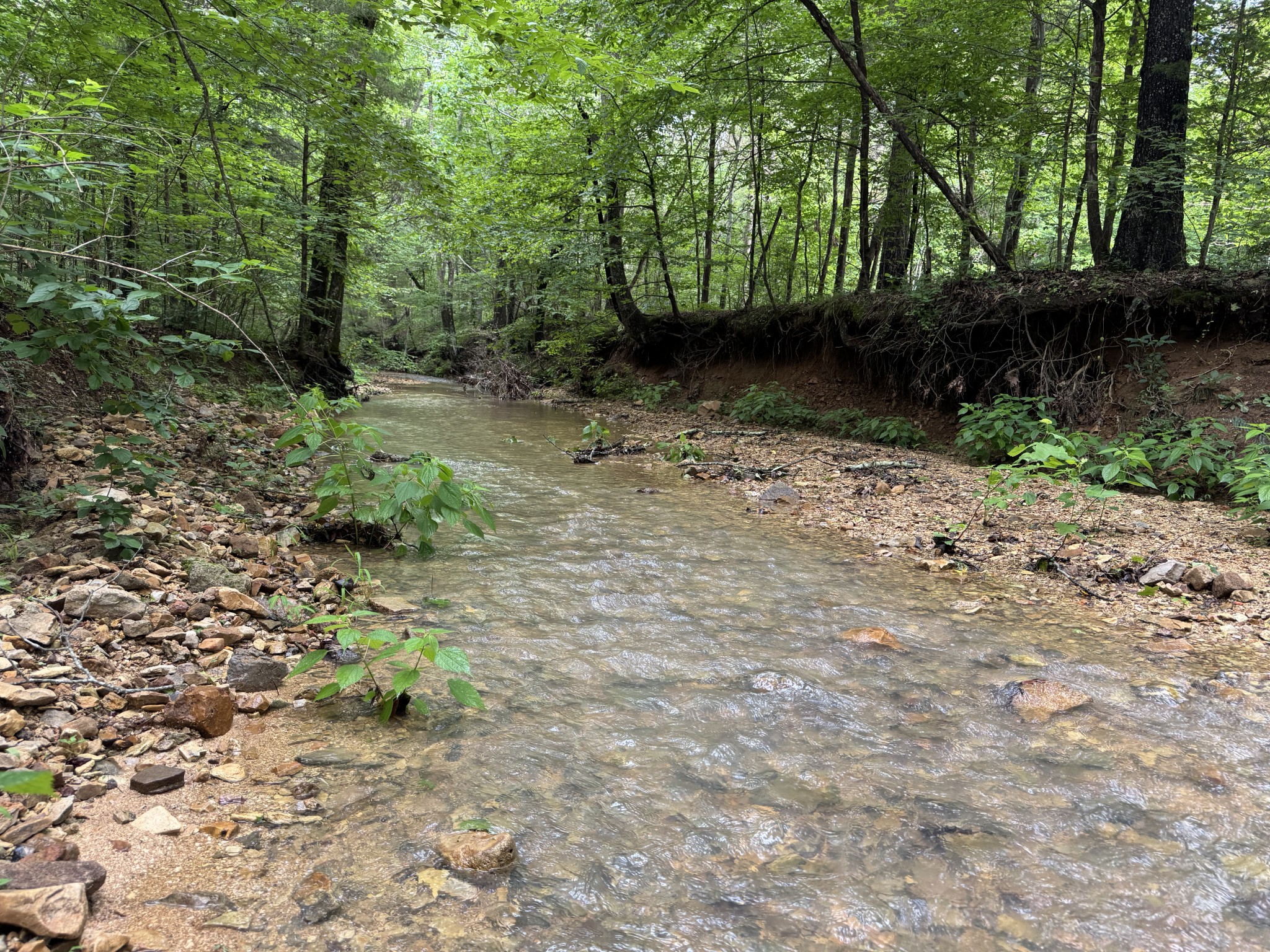 0 Brushy Road Centerville TN 37033