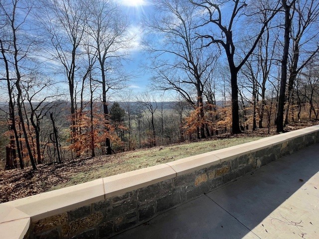 818 Shady Bluff Trail Clarksville TN 37043