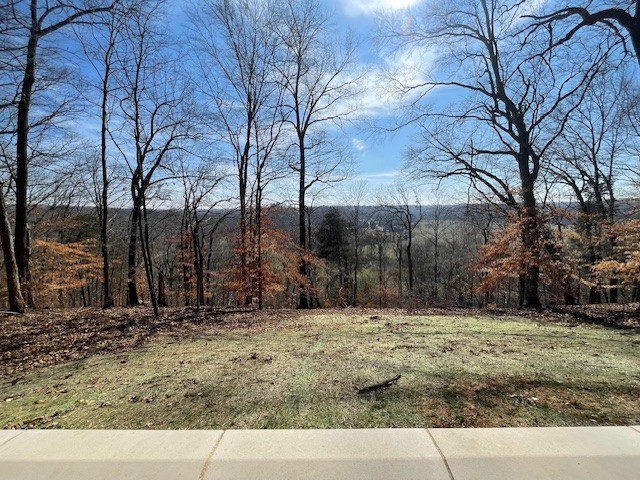 818 Shady Bluff Trail Clarksville TN 37043