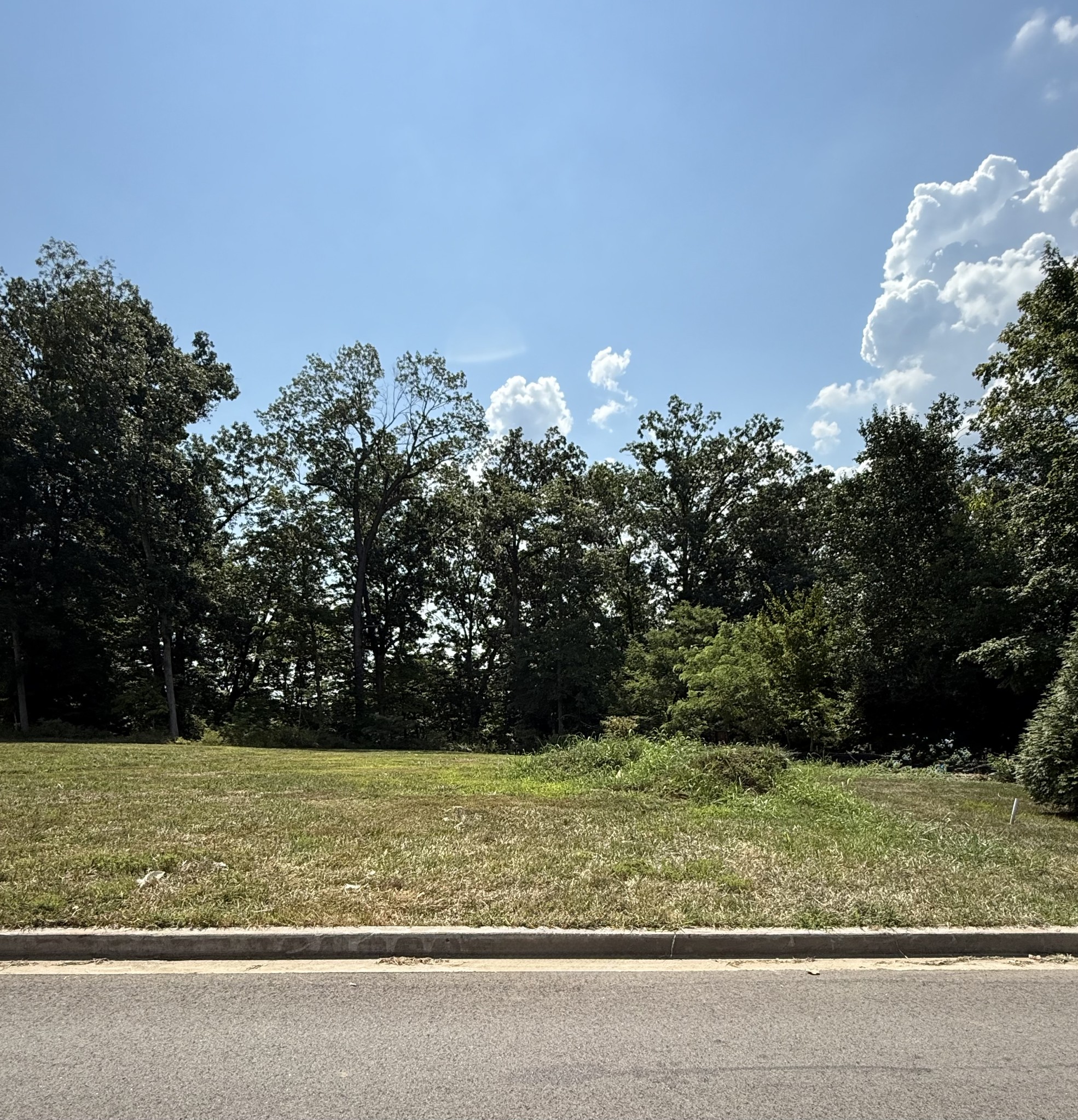 818 Shady Bluff Trail Clarksville TN 37043