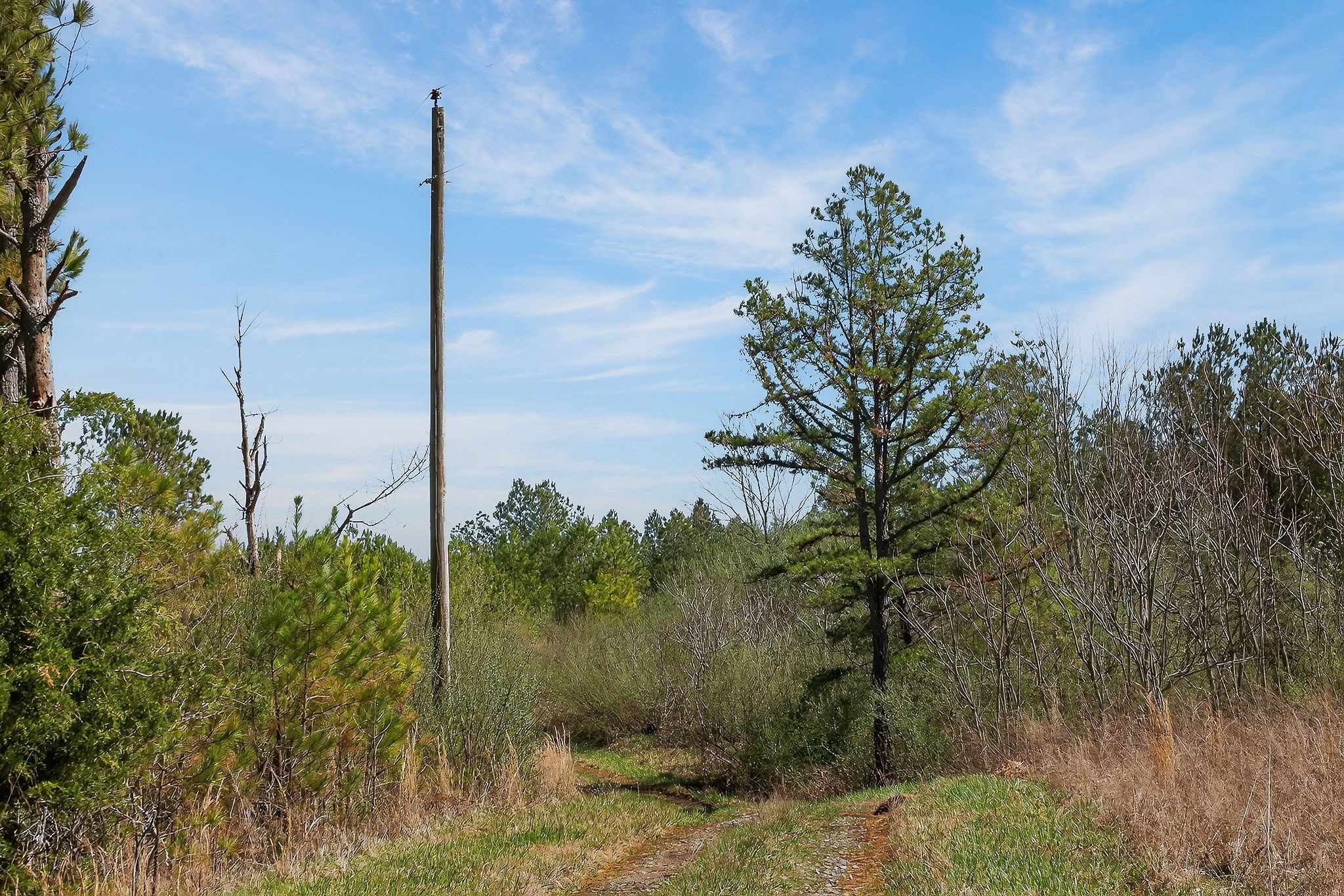 0 Rocky River Road Spencer TN 38585
