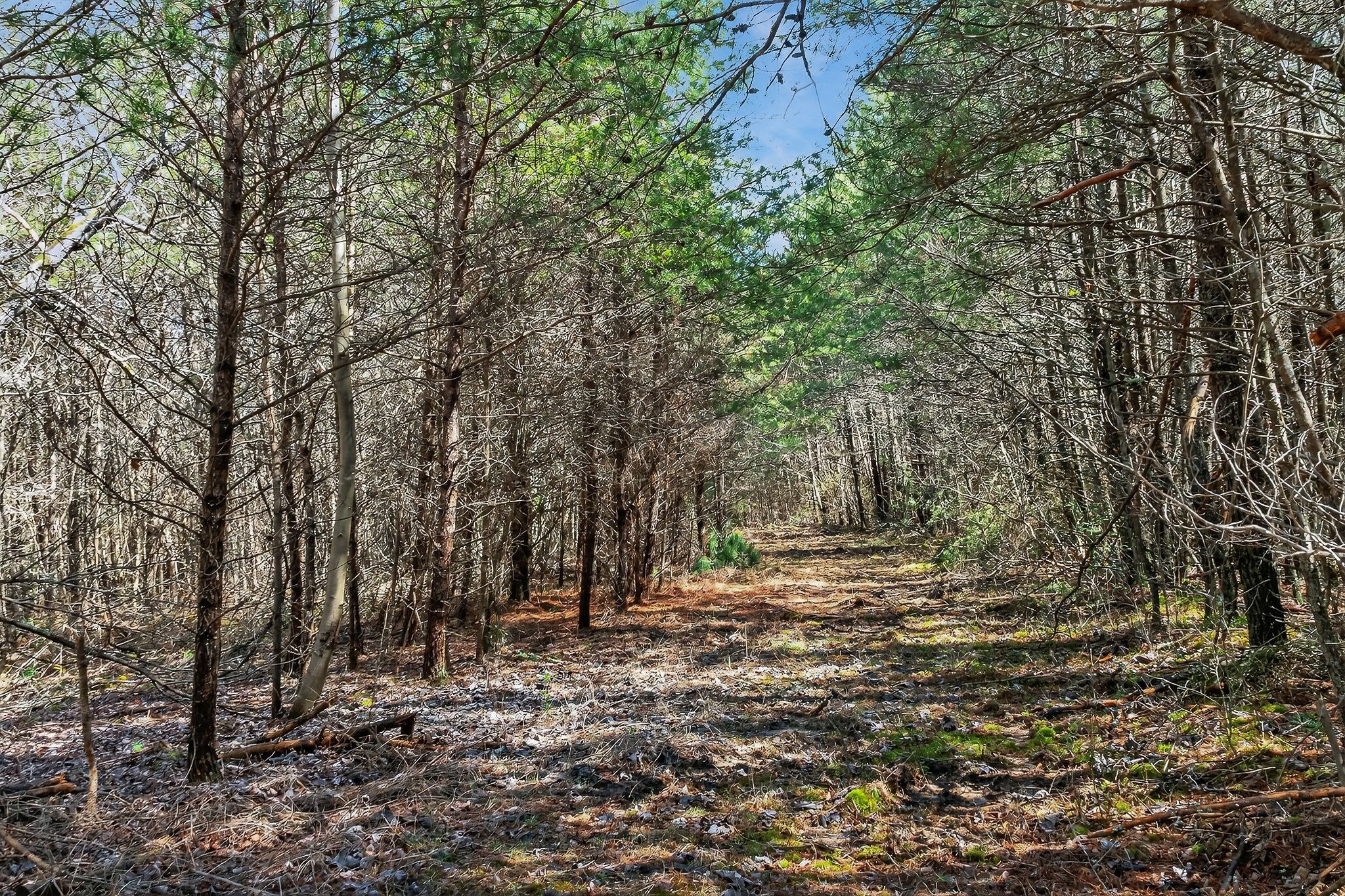 0 Rocky River Road Spencer TN 38585