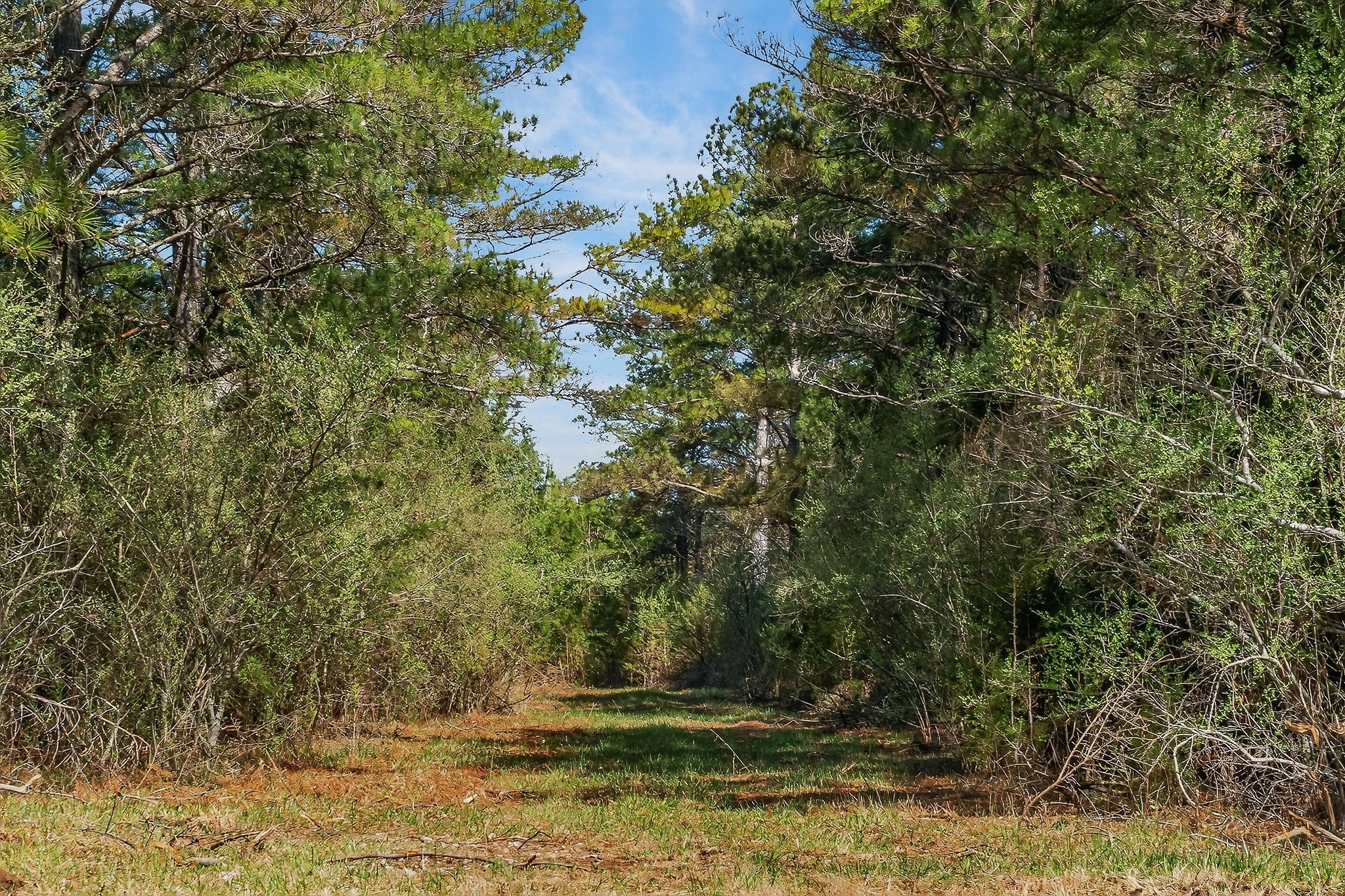 0 Rocky River Road Spencer TN 38585
