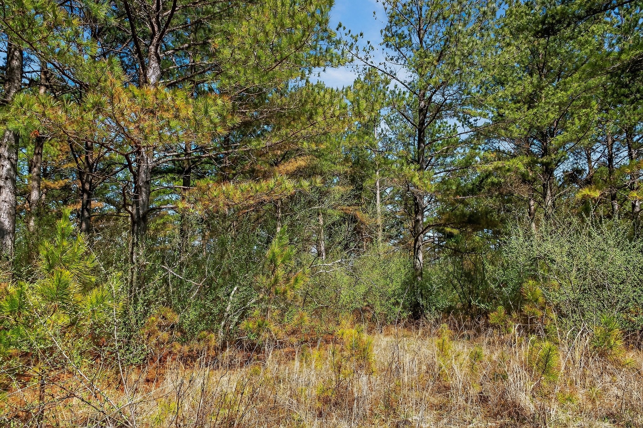 0 Rocky River Road Spencer TN 38585