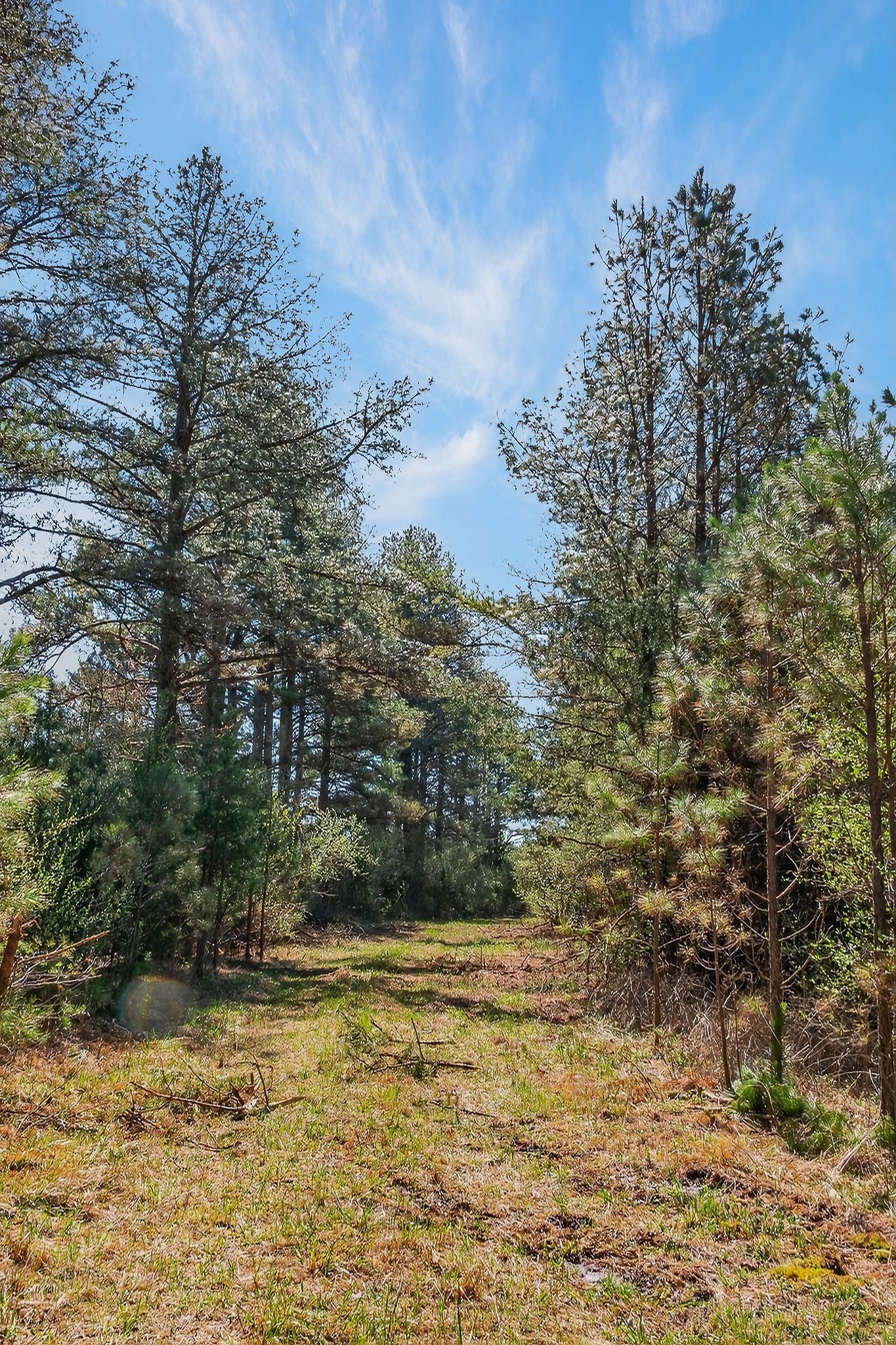 0 Rocky River Road Spencer TN 38585