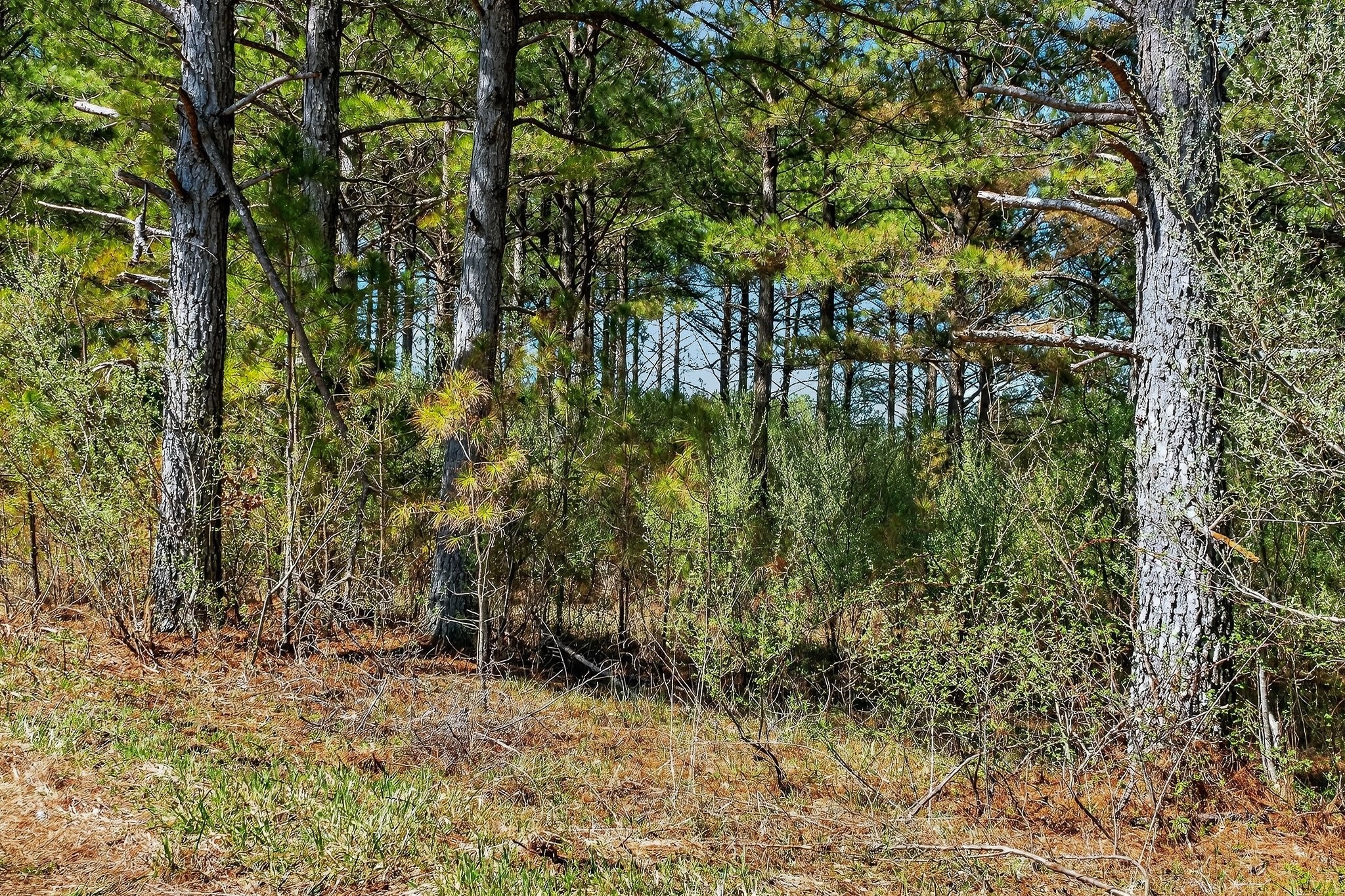 0 Rocky River Road Spencer TN 38585