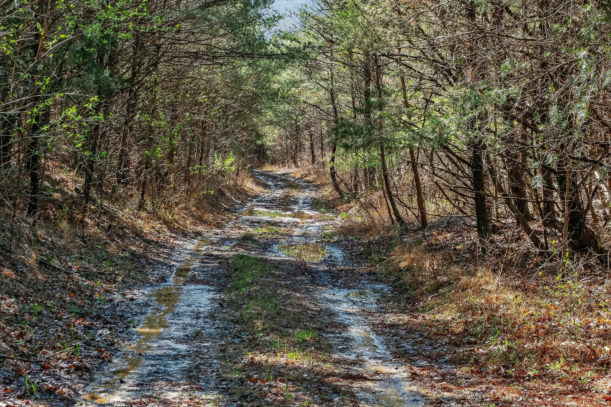 0 Rocky River Road Spencer TN 38585
