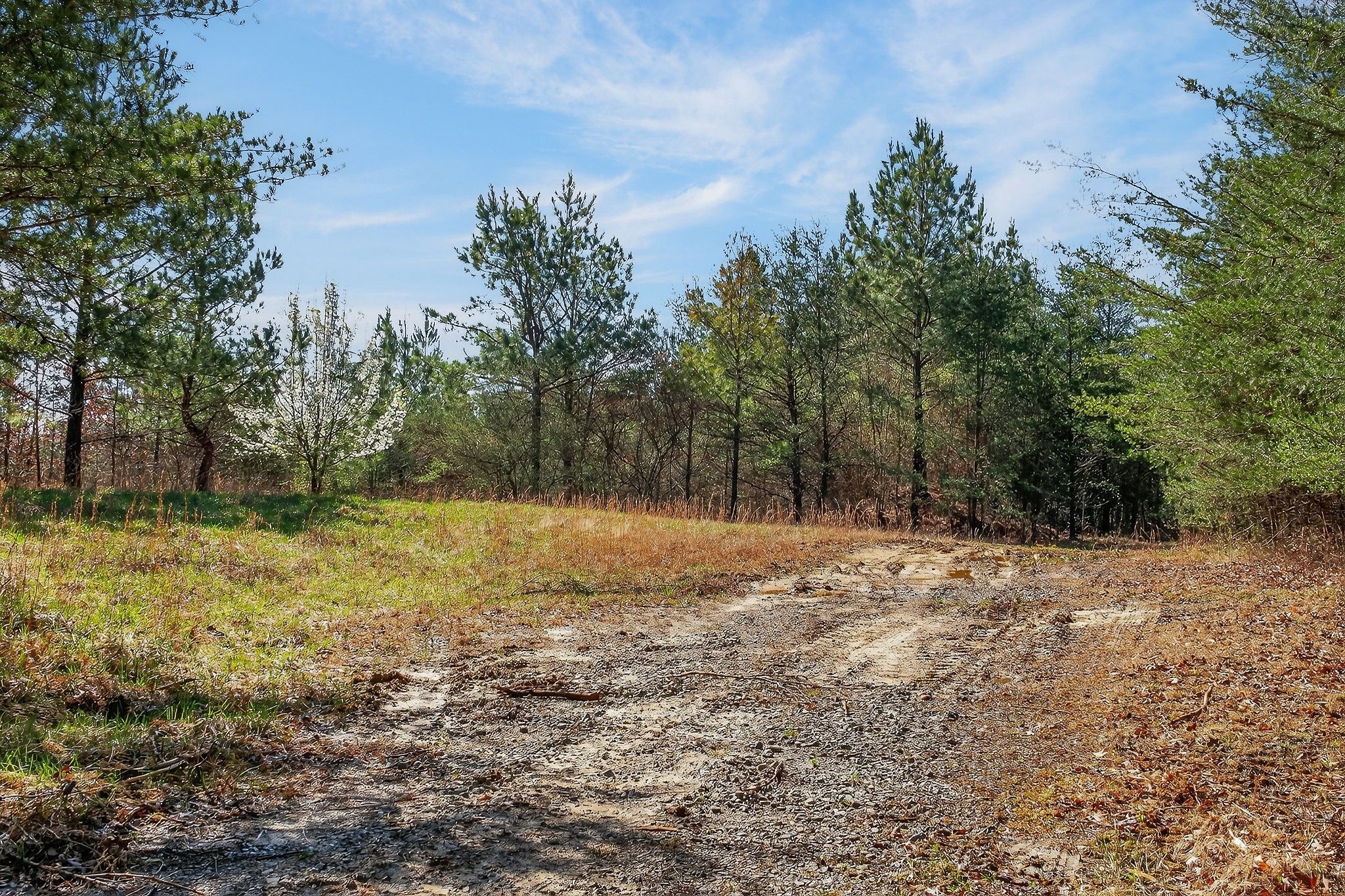0 Rocky River Road Spencer TN 38585
