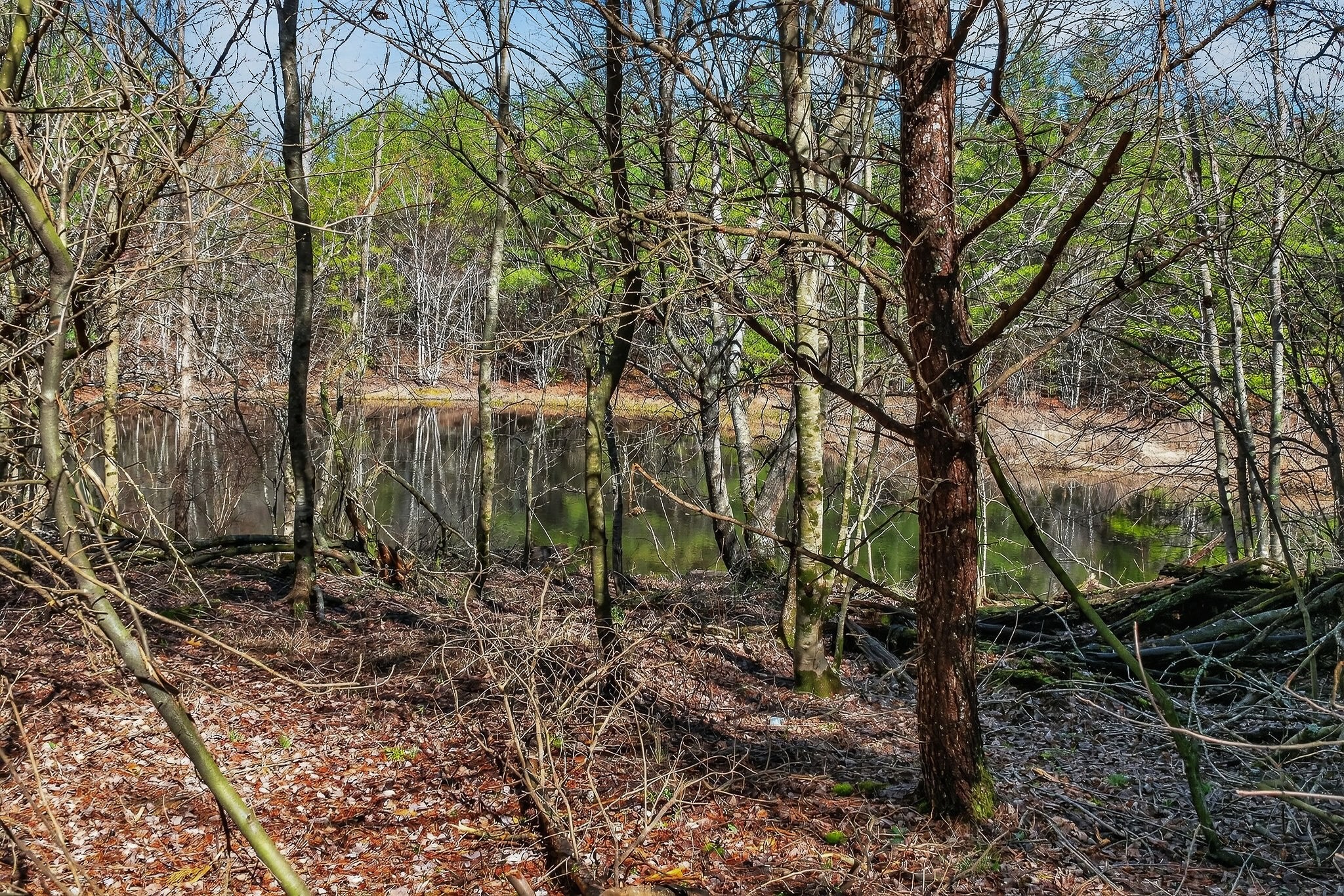 0 Rocky River Road Spencer TN 38585