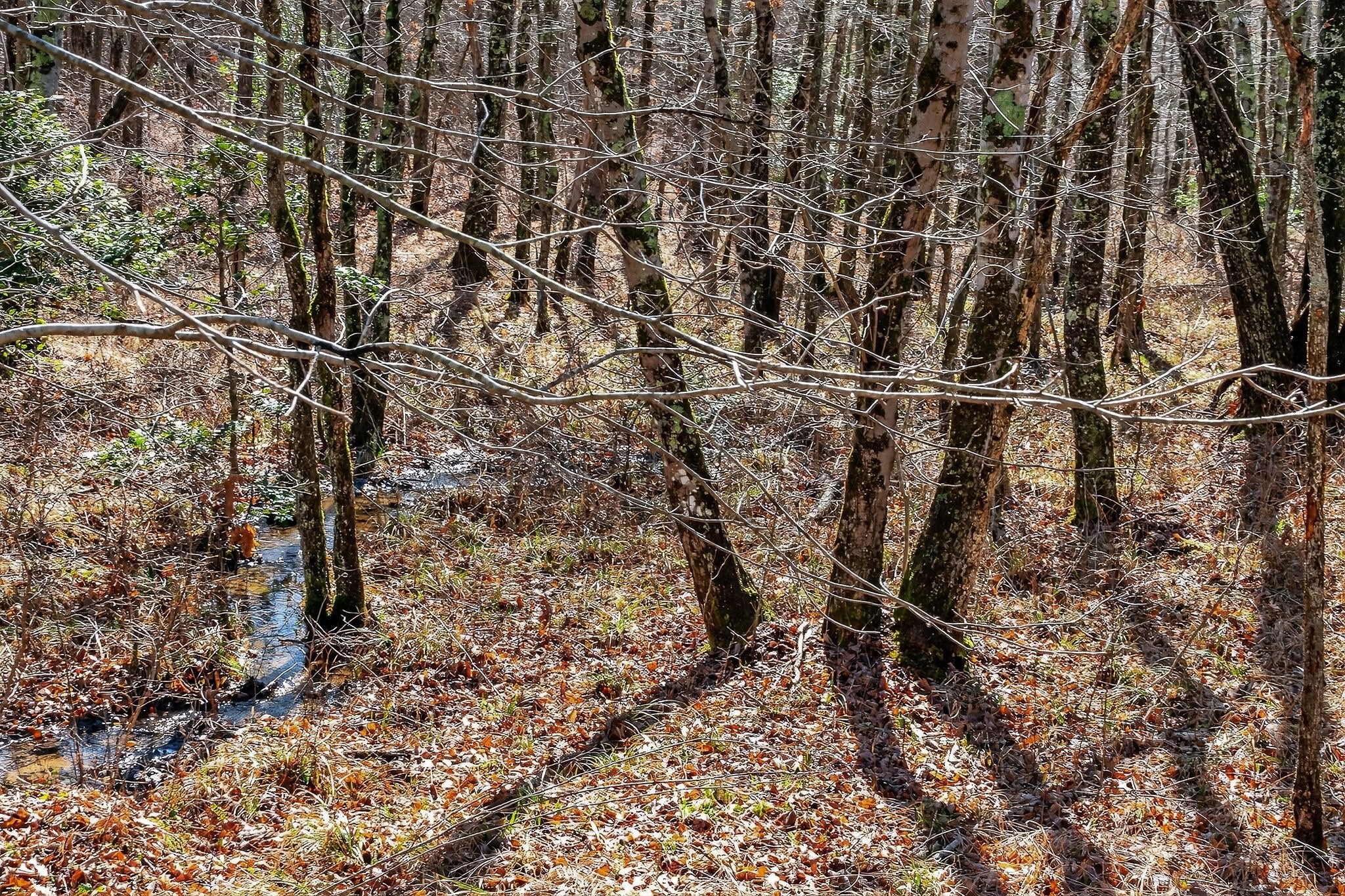 0 Rocky River Road Spencer TN 38585