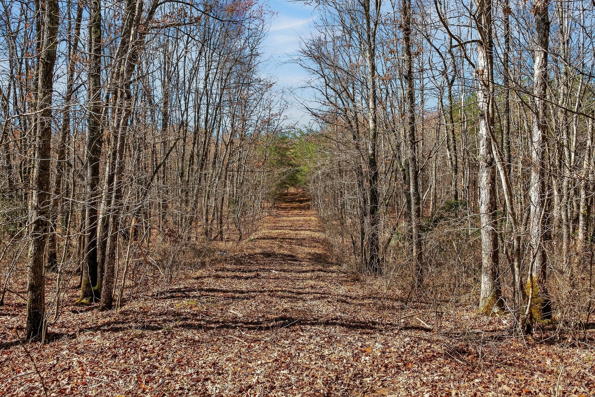 0 Rocky River Road Spencer TN 38585